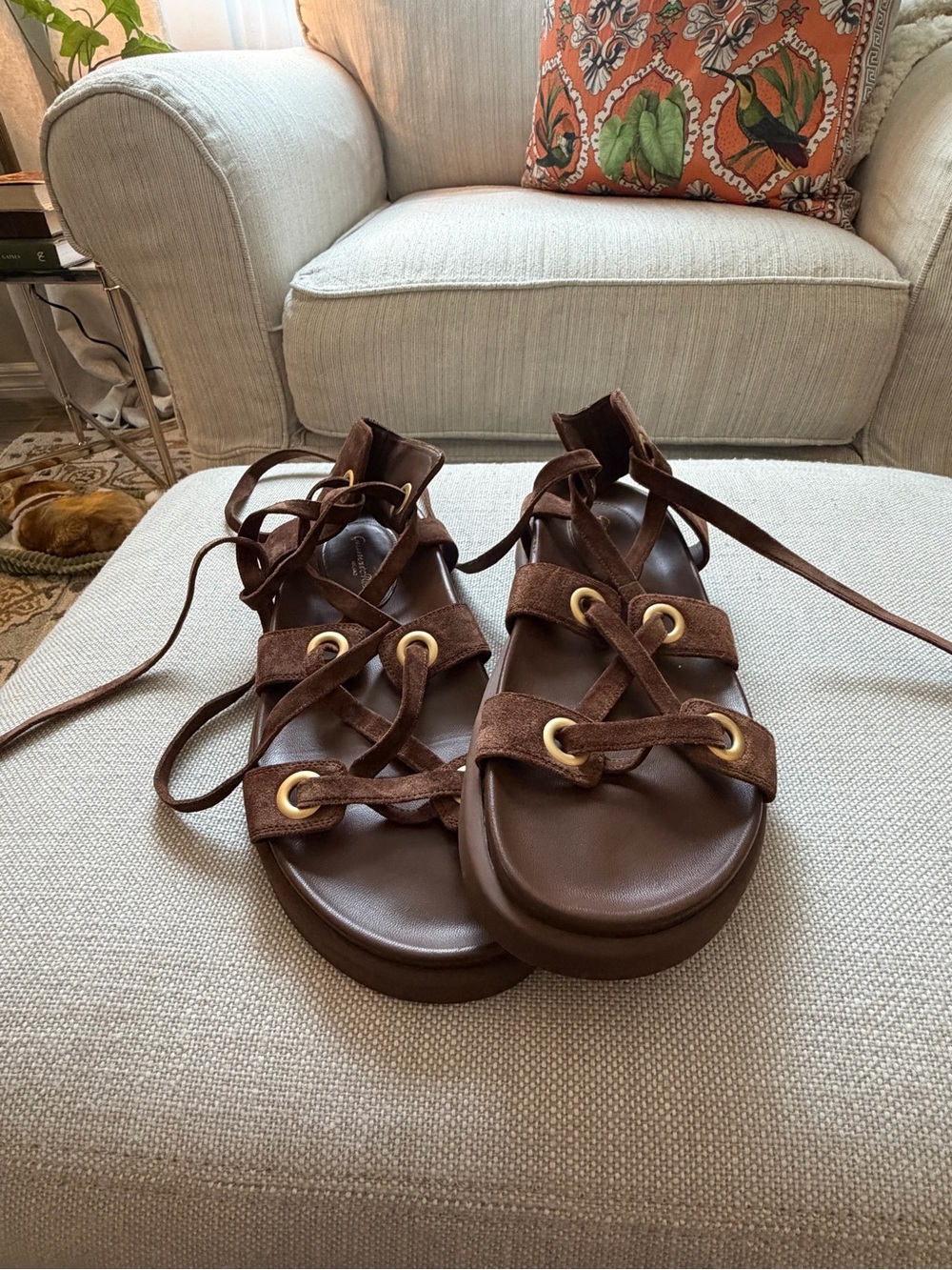 Gianvito Rossi Brown Suede Lace-Up Sandals with Gold Eyelets - Never Worn